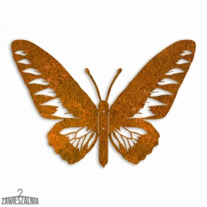 Zawieszalnia – 3D Wanddekoration Paradiesschmetterling L 44×30 cm Cortenstahl