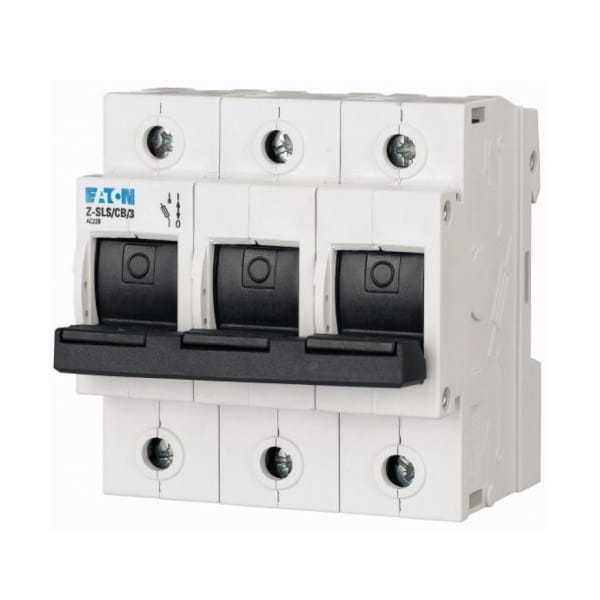 Sicherungslasttrennschalter 3P 63A D01 D02 Z-SLS/CB/3 248249 EATON GPV-401-191