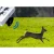 Wildabwehr: Wildschweine, Füchse, Rehe VIANO (OZ1) PV-400-46 (8)