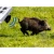 Wildabwehr: Wildschweine, Füchse, Rehe VIANO (OZ1) PV-400-46 (12)