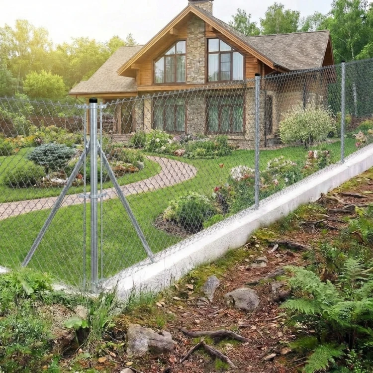 000-225 (4)